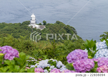 関埼海星館から見る関埼灯台とアジサイの写真素材