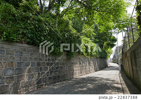 天王寺七坂 愛染坂 天王寺七坂 愛染坂 22837388
