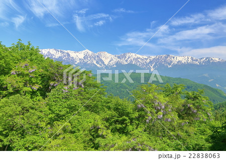 信州長野 新緑と北アルプスの山々 信州長野 新緑と北アルプスの山々 22838063