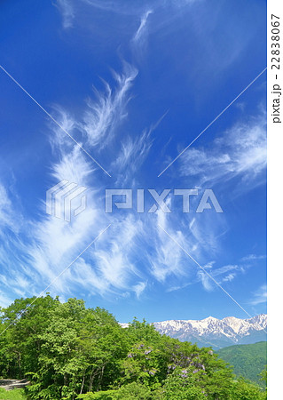 信州長野　新緑と北アルプスの山々 22838067