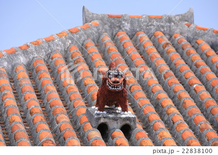 屋根の上のシーサー 屋根の上のシーサー 22838100
