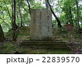 石上神社　柿本人麻呂の碑 22839570