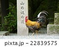 石上神社　神鶏と山の辺の道の碑 22839575