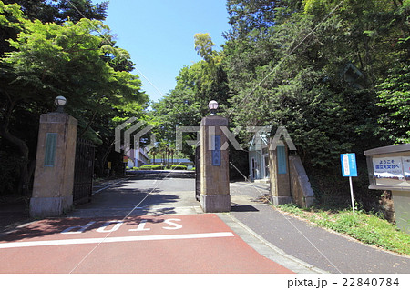 国立天文台  三鷹市 22840784