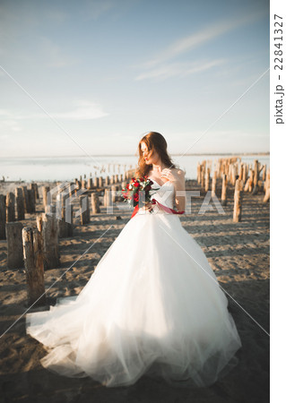 Pretty lady, bride posing in a wedding dress near Pretty lady, bride posing in a wedding dress near 22841327