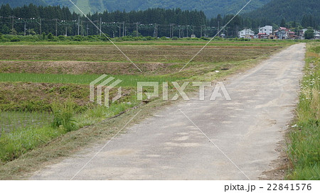 Images of 畦道 - JapaneseClass.jp