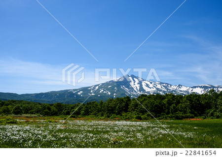 鳥海山 桑ノ木台湿原 鳥海山 桑ノ木台湿原 22841654