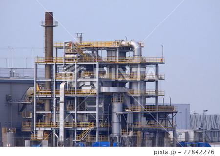 プラント 22842276