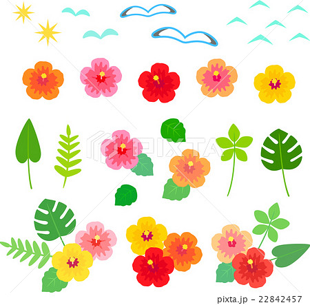 Cute Hibiscus Illustration Set Stock Illustration