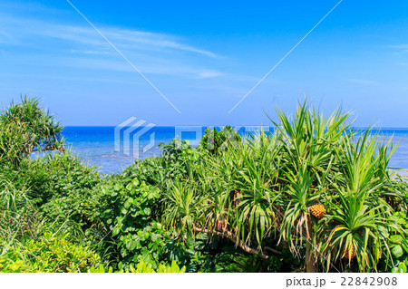 沖縄　渡具知ビーチ 22842908