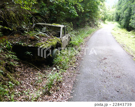 廃棄された外国車 廃棄された外国車 22843739