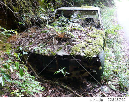 廃棄された古い外車の写真素材