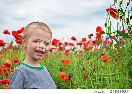 Happy little boy in field with red poppies Happy little boy in field with red poppies 22843927