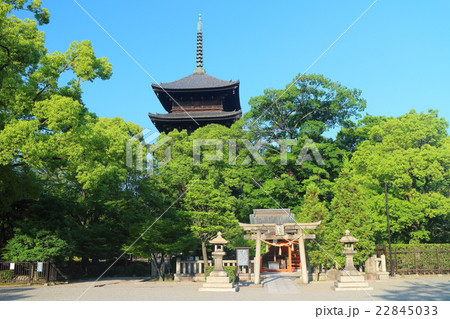 東寺 五重塔 東寺 五重塔 22845033