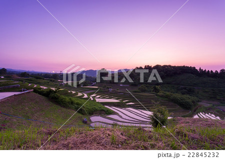 夕暮れの千早赤阪村棚田 夕暮れの千早赤阪村棚田 22845232