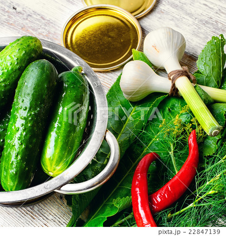 Fresh pickling cucumbers Fresh pickling cucumbers 22847139