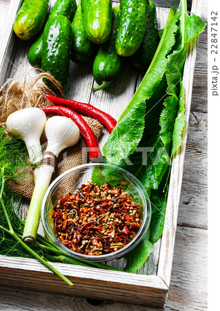 Fresh pickling cucumbers Fresh pickling cucumbers 22847142