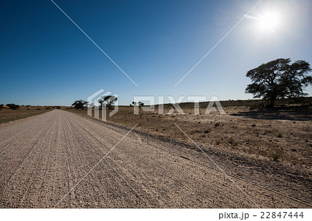 Road 22847444