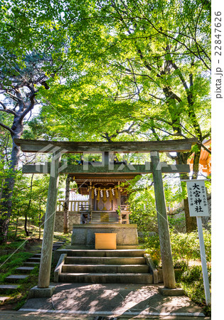稲毛浅間神社 大宮神社 (千葉県千葉市稲毛区) 2016年6月現在 稲毛浅間神社 大宮神社 (千葉県千葉市稲毛区) 2016年6月現在 22847626