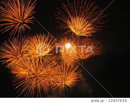 神宮外苑花火大会の放射状に広がるオレンジの花火の写真素材