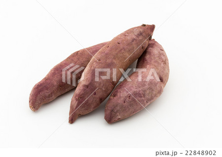 カリフォルニア産紫芋:Purple sweet potato 22848902