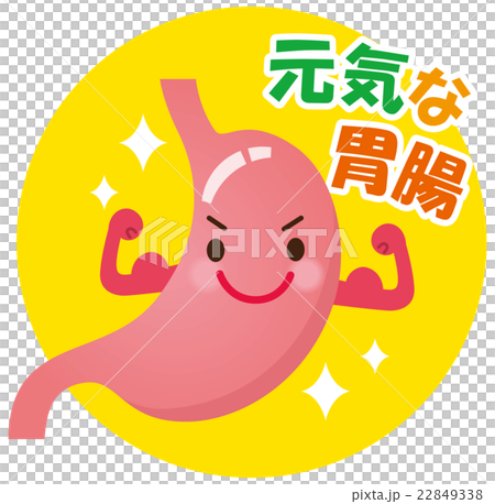 元気な胃腸 健康な胃のイラスト素材