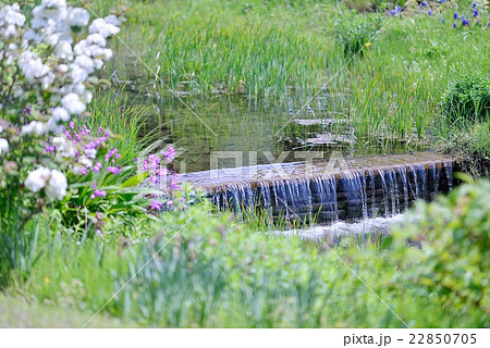 幸福の水辺 22850705