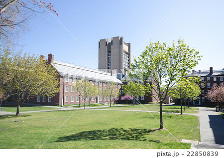 ブラウン大学キャンパス Brown Universityの写真素材