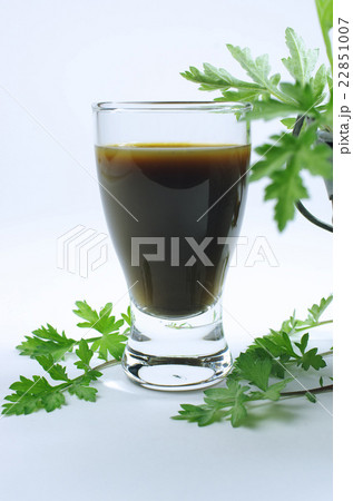 パワー溢れるヨモギのエキス パワー溢れるヨモギのエキス 22851007