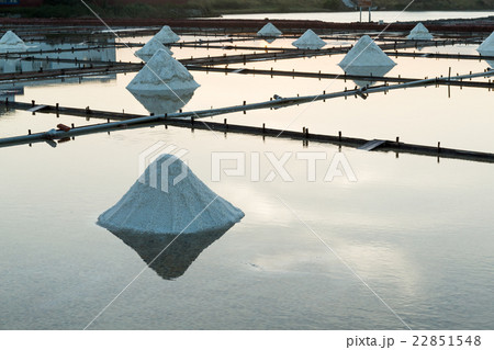 Row of salt piles to be harvested 22851548