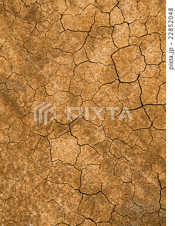 Cracked of mud Cracked of mud 22852048
