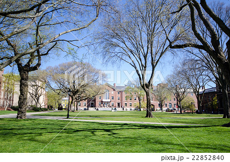 ブラウン大学キャンパス Brown university ブラウン大学キャンパス Brown university 22852840