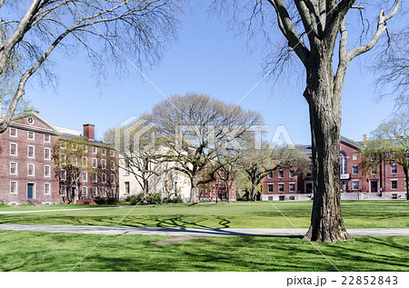 ブラウン大学キャンパス Brown university ブラウン大学キャンパス Brown university 22852843