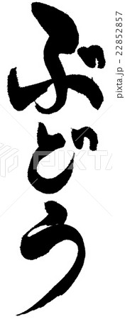 ぶどう 22852857