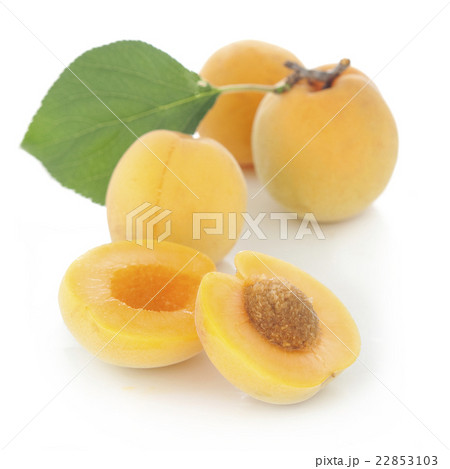 杏の実の写真素材