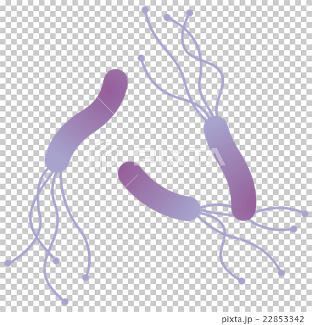 Helicobacter pylori medical 22853342