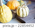 黄色いカボチャ 22854452