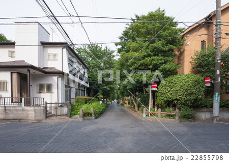 東京散歩、世田谷上用賀五丁目　用賀三条通り 22855798