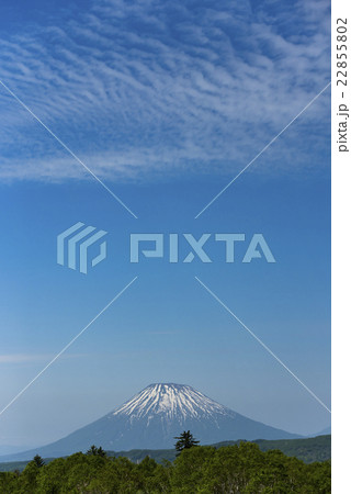 中山峠からの眺め（羊蹄山） 22855802