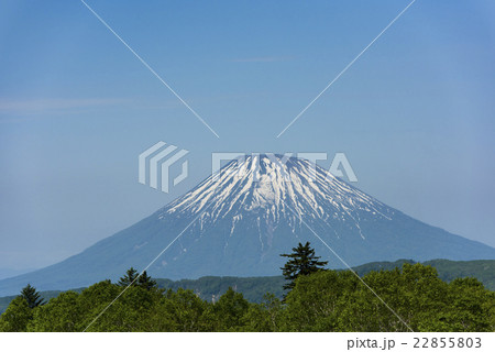 中山峠からの眺め（羊蹄山） 22855803