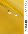 水滴 22855837