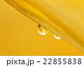 水滴 22855838