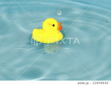 cute duckling cute duckling 22856630