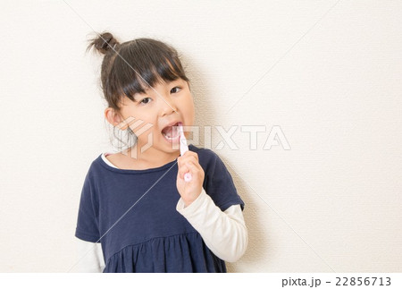 はみがき 22856713