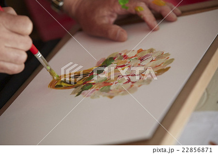 絵を描く手元 絵を描く手元 22856871