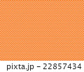 チェック 22857434