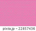 チェック 22857436