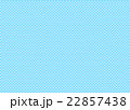 チェック 22857438