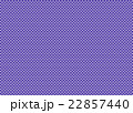 チェック 22857440