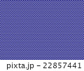 チェック 22857441